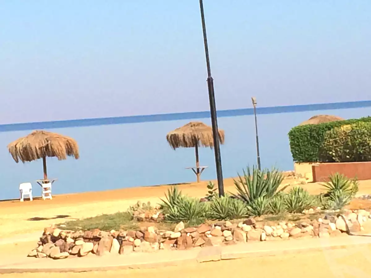 https://aqarmap.com.eg/en/listing/891174-for-rent-ain-elsokhna