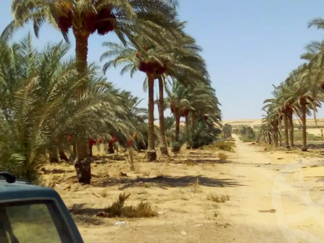 https://aqarmap.com.eg/en/listing/2160066-for-sale-el-fayoum-sinnuris-monshat-snours