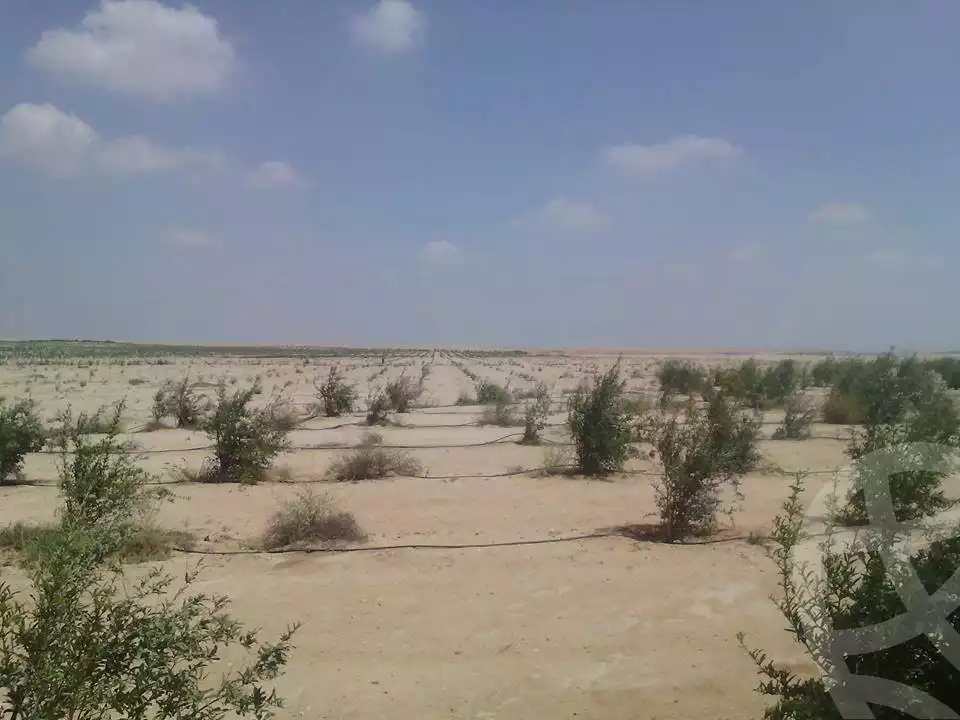 https://aqarmap.com.eg/en/listing/2499019-for-sale-land-or-farm-beheira