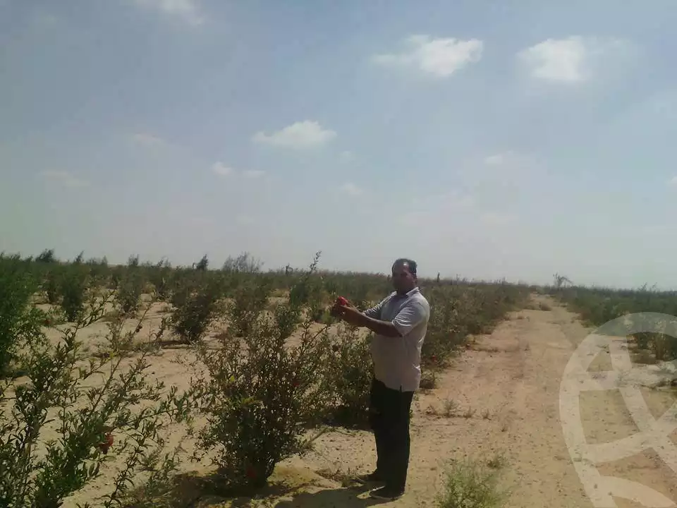 https://aqarmap.com.eg/en/listing/2499019-for-sale-land-or-farm-beheira
