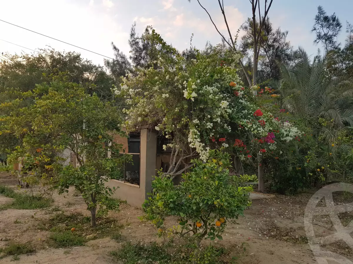 https://aqarmap.com.eg/ar/listing/2759550-for-sale-land-or-farm-ismailia