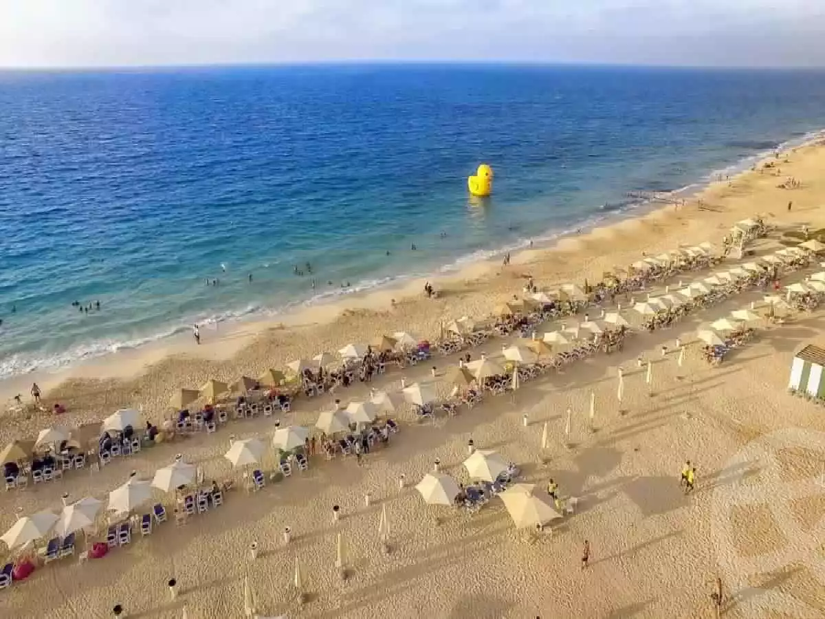 https://aqarmap.com.eg/en/listing/6216342-for-sale-north-coast-resorts-mwntn-fyw-rs-lhkm