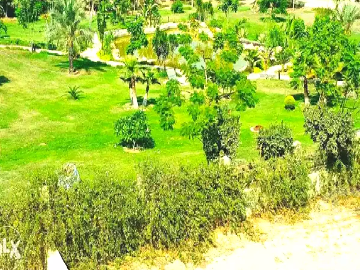 https://aqarmap.com.eg/ar/listing/2820178-projects-ziznia-gardens
