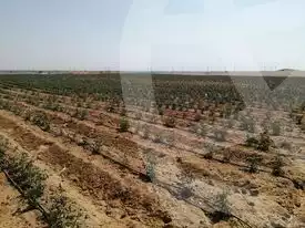 https://aqarmap.com.eg/ar/listing/2922050-for-sale-cairo-l-yt