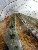 https://aqarmap.com.eg/ar/listing/2922050-for-sale-cairo-l-yt
