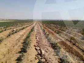 https://aqarmap.com.eg/ar/listing/2922050-for-sale-cairo-l-yt