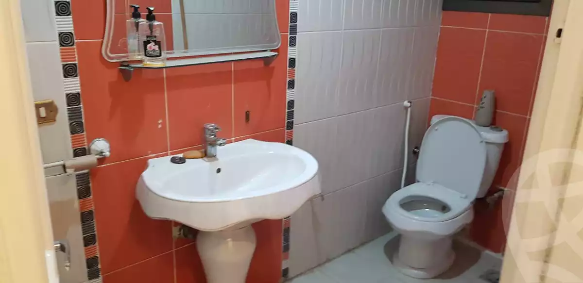 https://aqarmap.com.eg/ar/listing/3916017-for-rent-cairo-nasr-city-hassan-el-mamoon