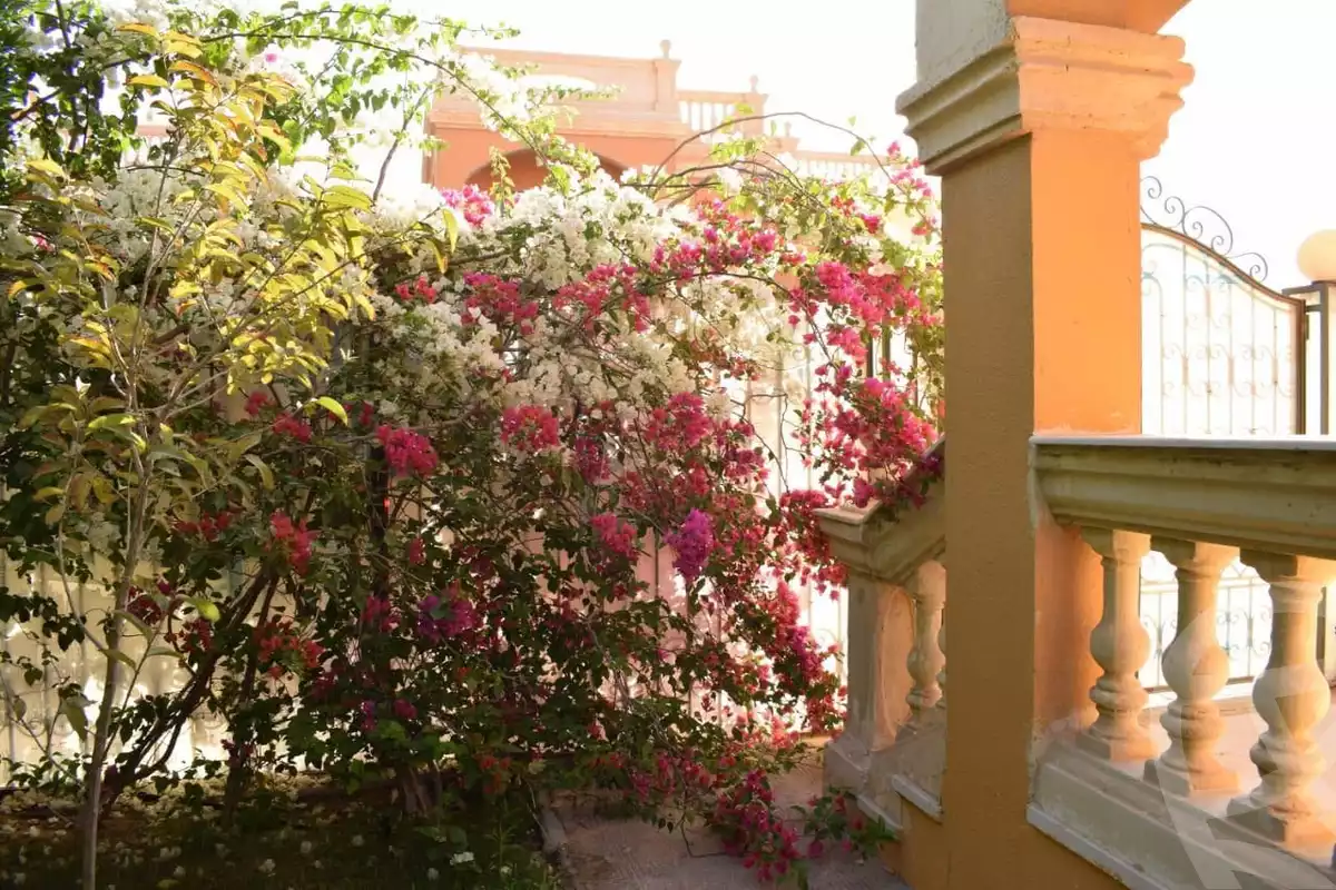 https://aqarmap.com.eg/ar/listing/4371255-for-sale-cairo-new-heliopolis-compounds-stella-heliopolis
