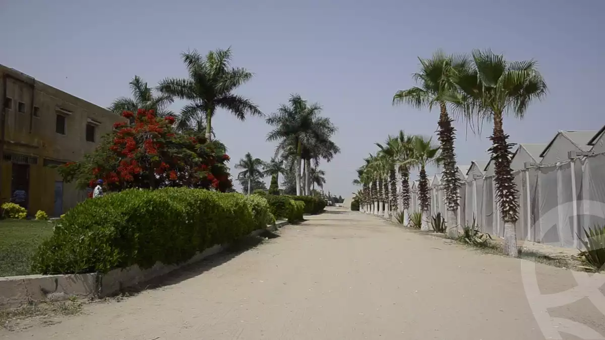 https://aqarmap.com.eg/en/listing/3836807-for-sale-ismailia-abu-sweer