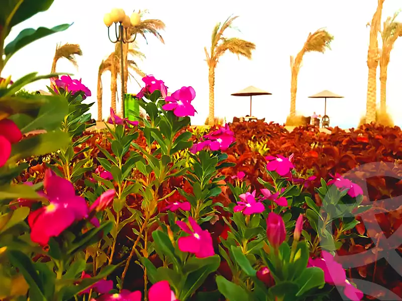 https://aqarmap.com.eg/ar/listing/3501437-for-sale-ain-elsokhna-ain-sokhna-resorts-malibu