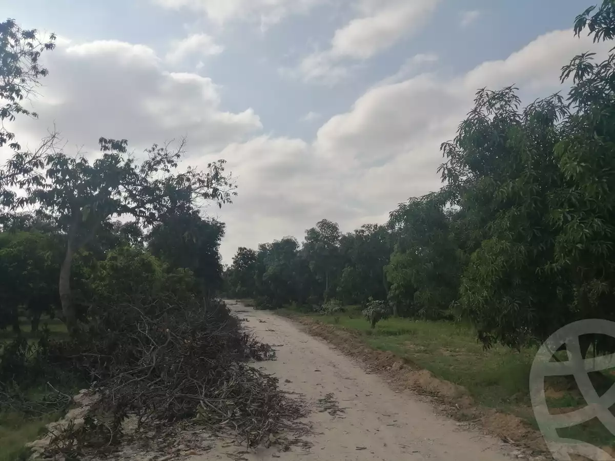 https://aqarmap.com.eg/en/listing/3871736-for-sale-ismailia-mntq-fr-y-blsm-yly