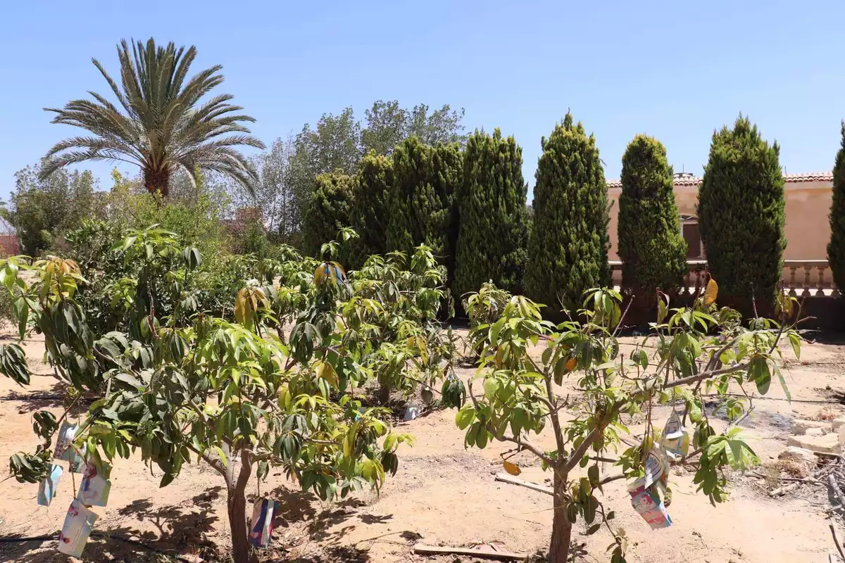 https://aqarmap.com.eg/ar/listing/3888070-for-sale-cairo-alex-cairo-desert-road-kmbwnd-fy-tryq-skndry-lshrwy-el-reef-el-oroby