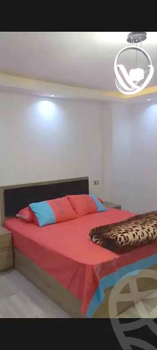 https://aqarmap.com.eg/ar/listing/4246763-for-rent-cairo-nasr-city-mohamed-hassanein-heikal
