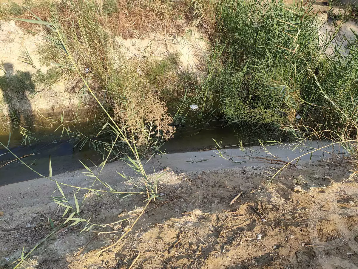 https://aqarmap.com.eg/ar/listing/4293224-for-sale-el-fayoum-yousef-el-sedeeq-yousef-el-sedeeq-city