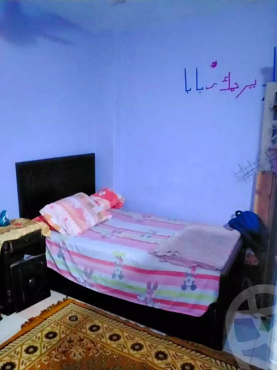 https://aqarmap.com.eg/en/listing/3615377-for-sale-cairo-ain-shams-zhr-lhlmy
