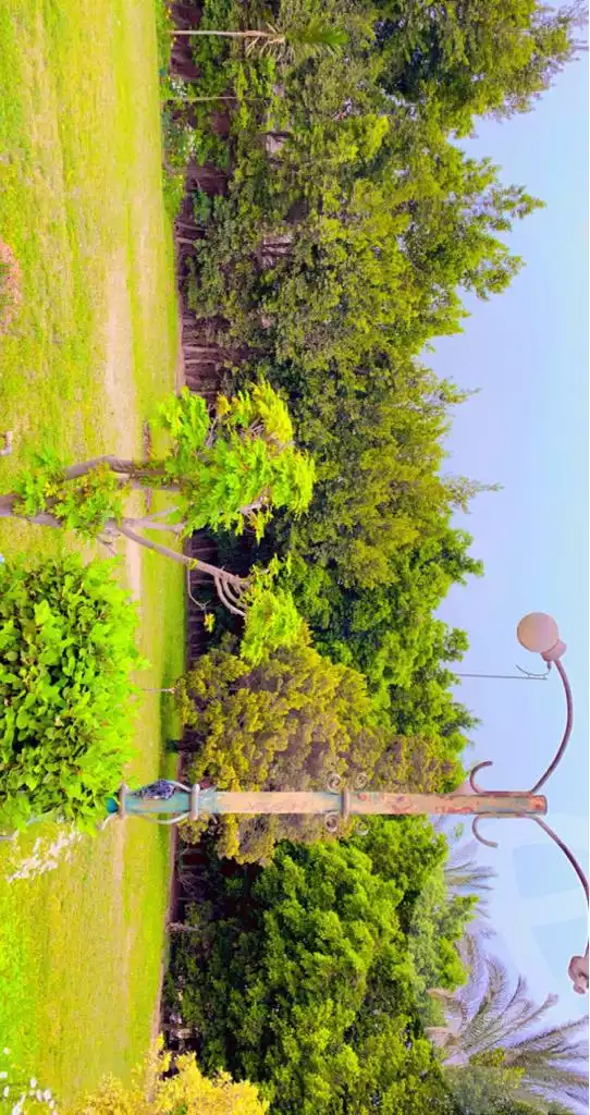 https://aqarmap.com.eg/ar/listing/3617372-for-sale-cairo-el-mansuriyyah