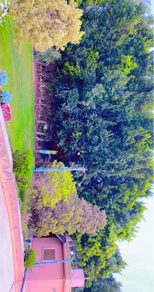 https://aqarmap.com.eg/ar/listing/3617372-for-sale-cairo-el-mansuriyyah