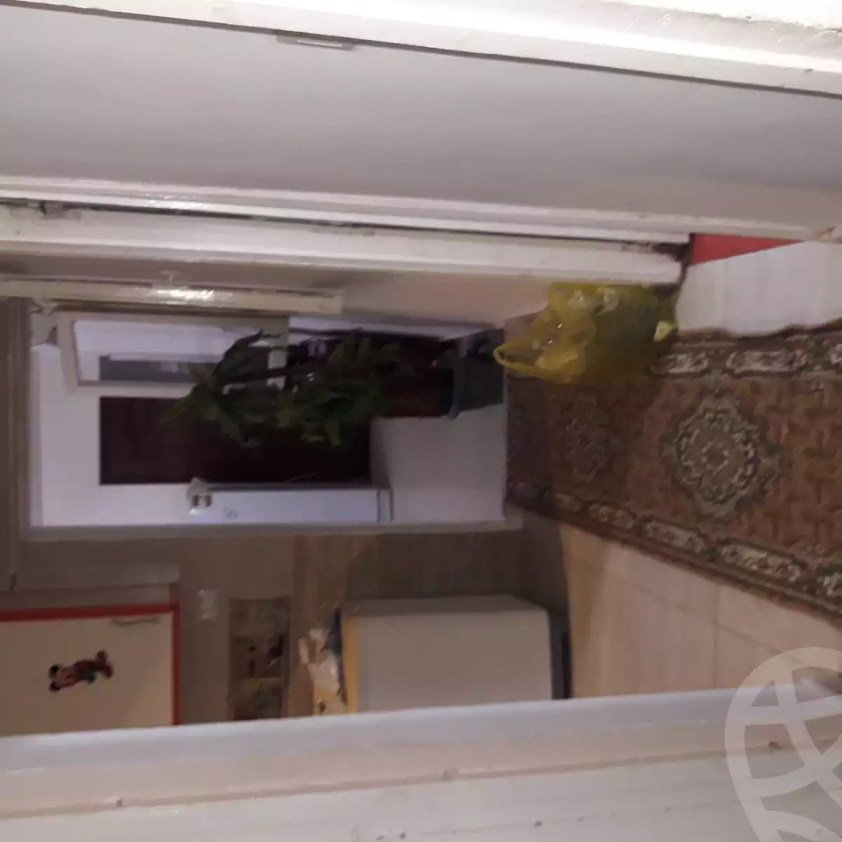 https://aqarmap.com.eg/ar/listing/3682854-for-rent-cairo-nasr-city-el-hay-el-asher-mshrouaa-19