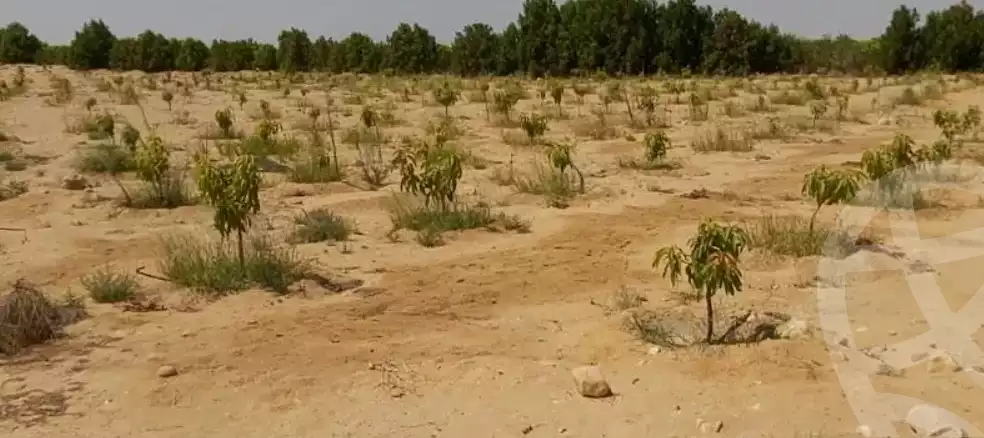https://aqarmap.com.eg/en/listing/3744621-for-sale-ismailia-el-qantara