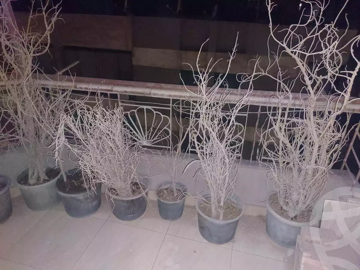 https://aqarmap.com.eg/ar/listing/3759345-for-sale-cairo-el-mohandesen-shareaa-el-sudan