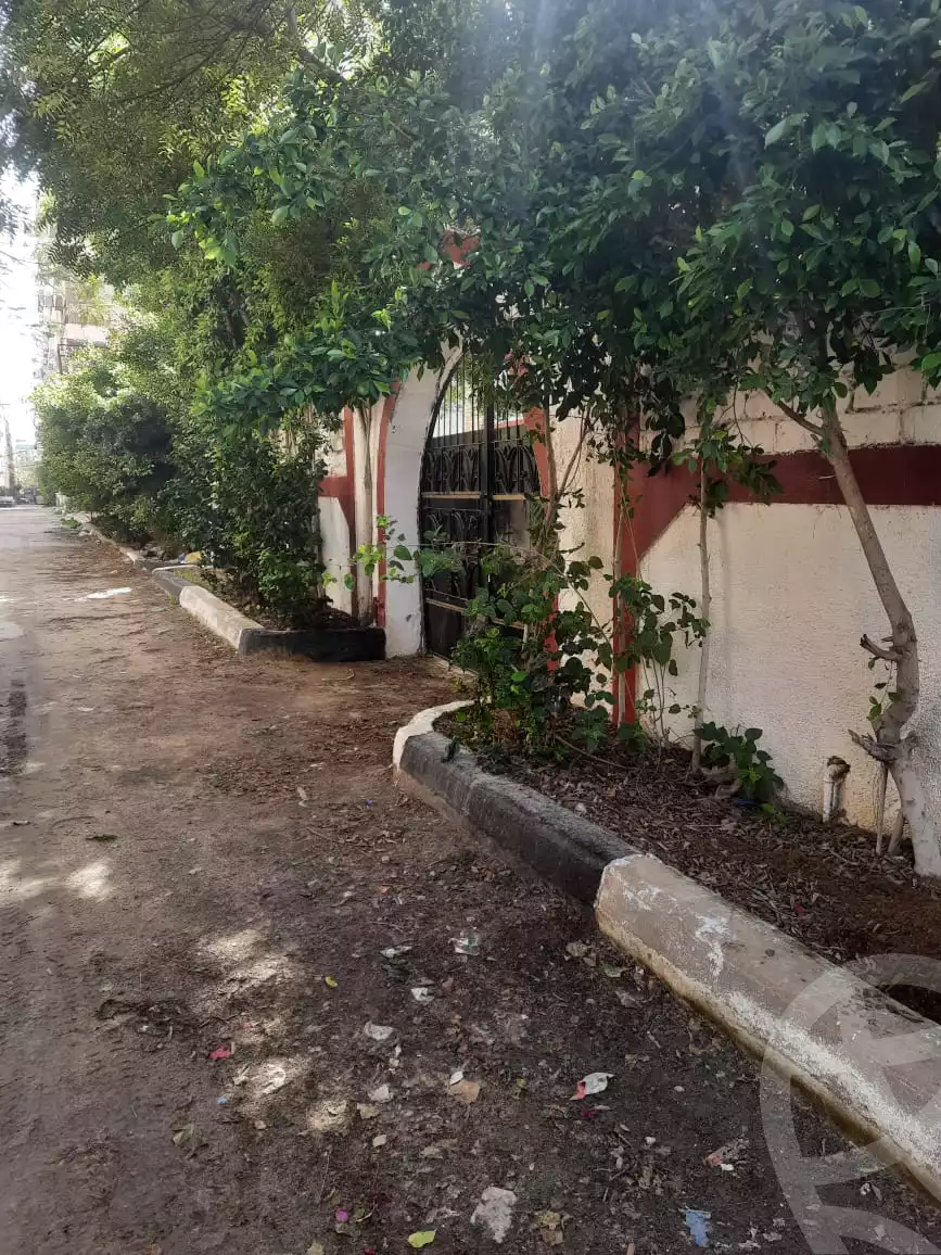 https://aqarmap.com.eg/en/listing/3855029-for-rent-alexandria-l-jmy-bw-ywsf