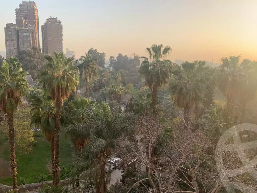 https://aqarmap.com.eg/en/listing/4202728-for-rent-cairo-al-zamalek-elzamalek-elqibliya