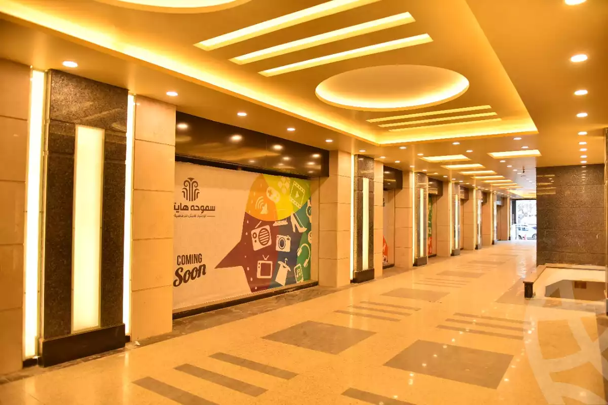 https://aqarmap.com.eg/ar/listing/3826671-for-sale-park-plaza-mimary