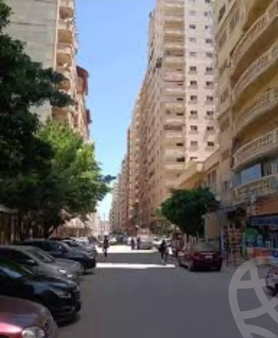 https://aqarmap.com.eg/en/listing/3896469-for-sale-alexandria-smouha-el-nasr-st