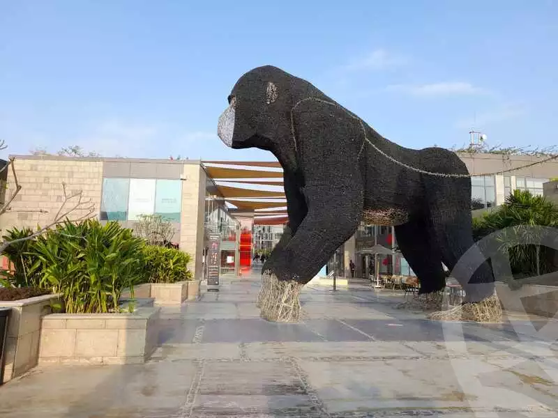 https://aqarmap.com.eg/ar/listing/3900187-for-rent-walk-of-cairo-mall