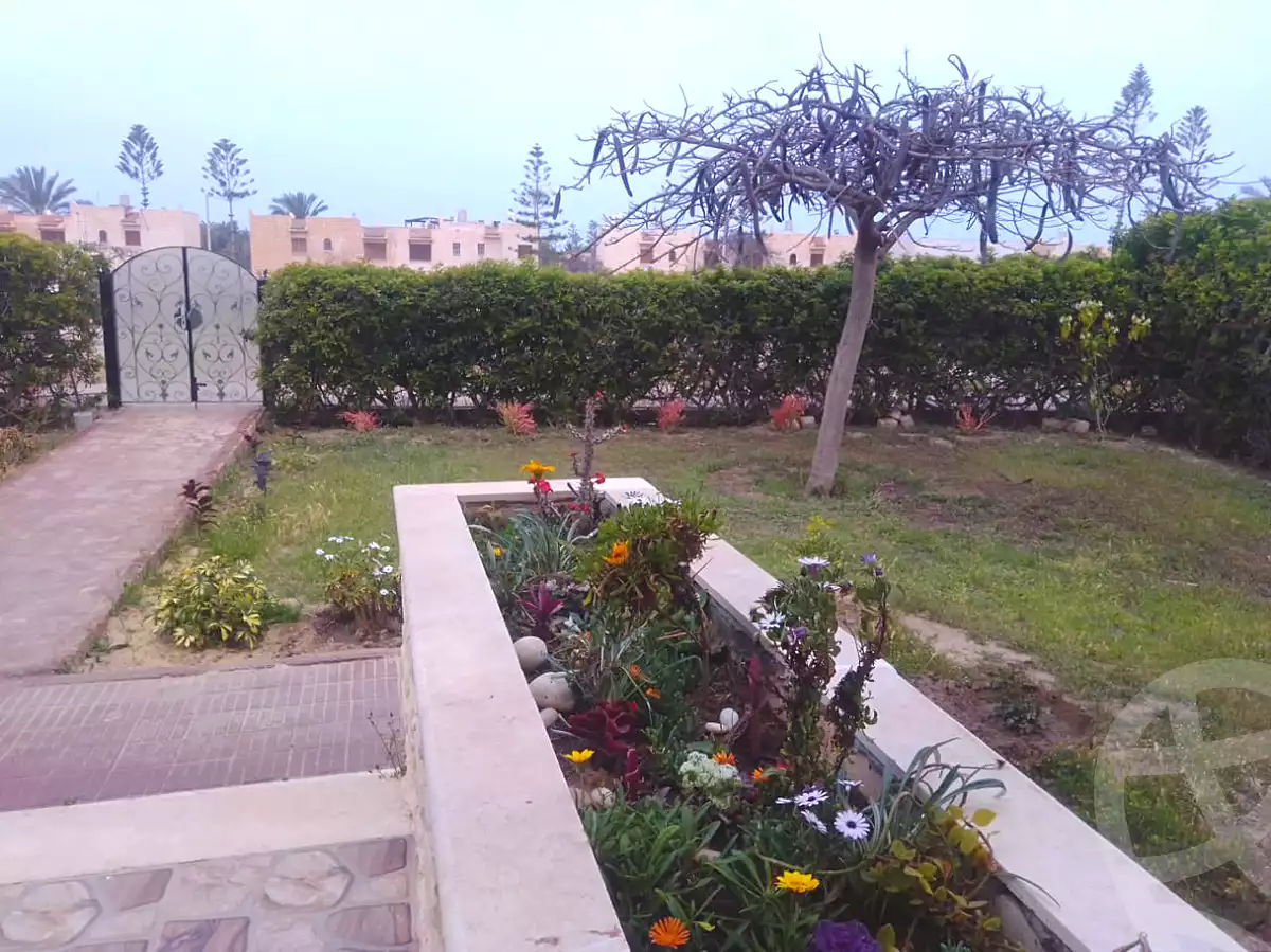 https://aqarmap.com.eg/en/listing/3930784-for-rent-north-coast-resorts-marina