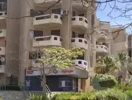 https://aqarmap.com.eg/en/listing/3979314-for-rent-cairo-new-cairo-third-settlement-mydn-lshbb
