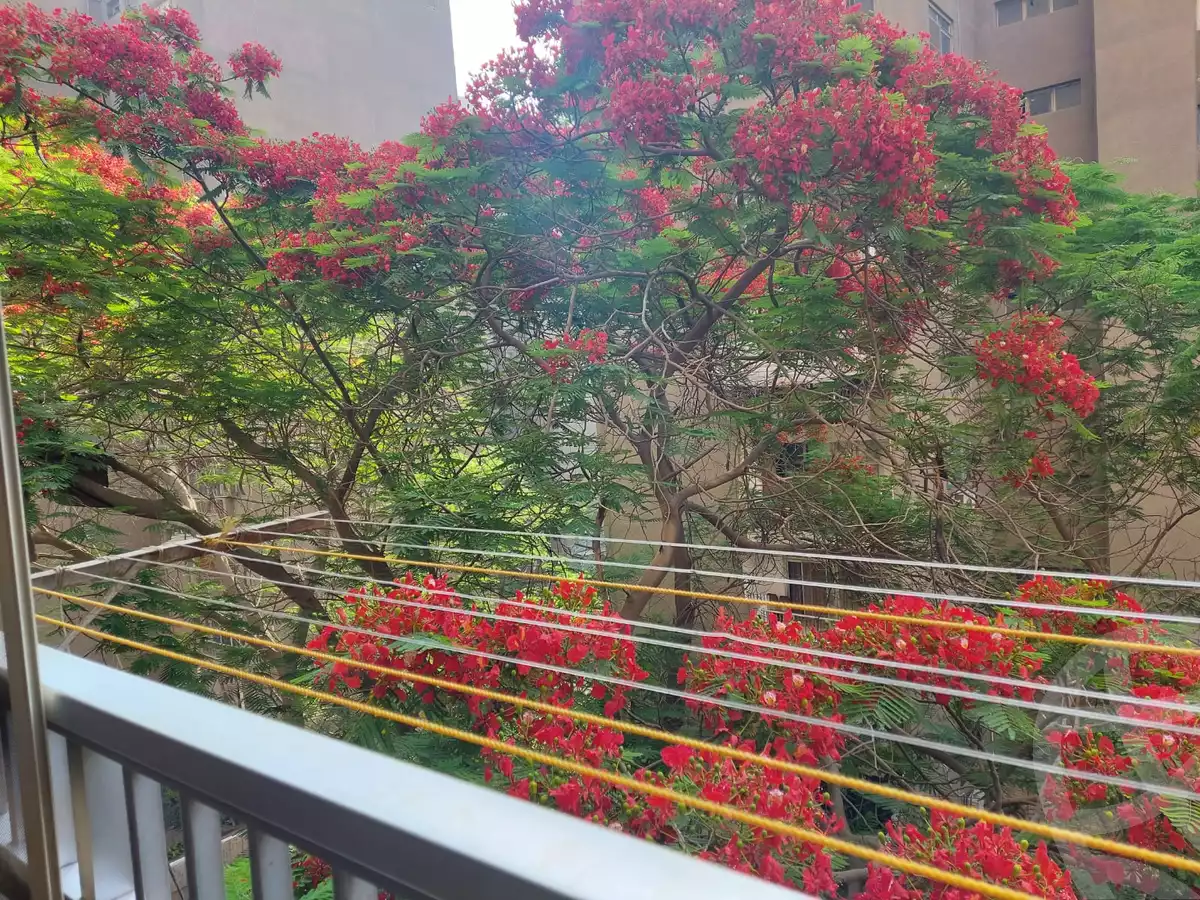 https://aqarmap.com.eg/ar/listing/3995631-for-sale-cairo-hadayek-el-koba-hdyq-lqb