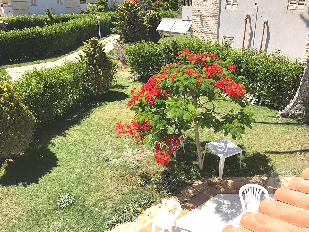 https://aqarmap.com.eg/ar/listing/4041807-for-rent-north-coast-resorts-diplo-2
