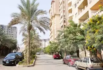 https://aqarmap.com.eg/en/listing/4062072-for-rent-cairo-new-cairo-compounds