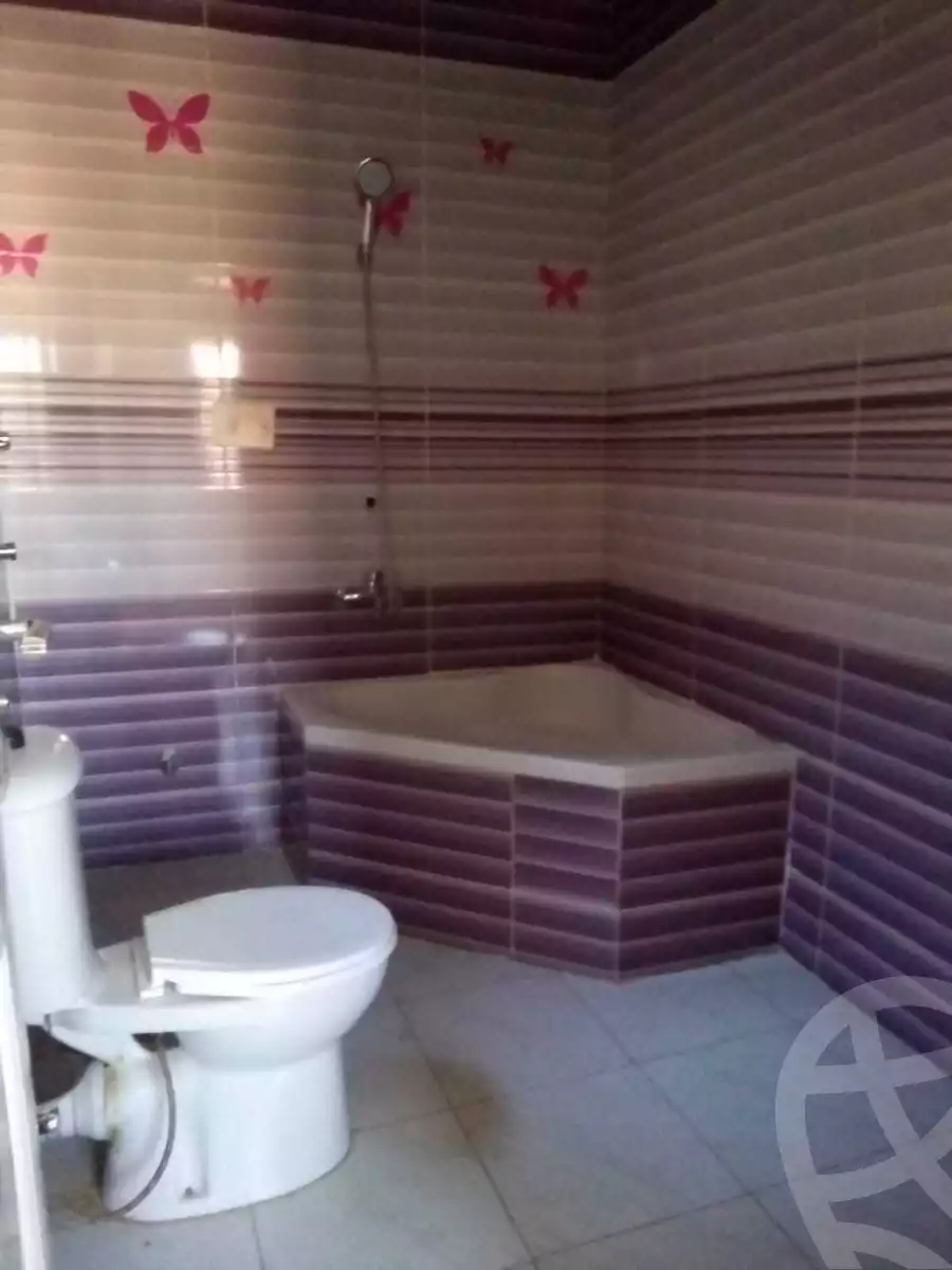 https://aqarmap.com.eg/ar/listing/4070185-for-rent-cairo-helwan-mnshy-yn-hlwn-rael-st