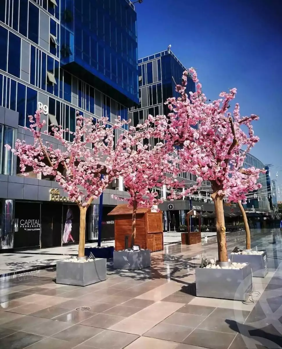 https://aqarmap.com.eg/en/listing/4079520-for-rent-cairo-el-sheikh-zayed-city-compounds-in-sheikh-zayed-capital-business-park