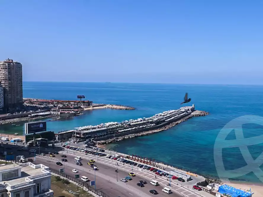 https://aqarmap.com.eg/ar/listing/4020744-for-sale-alexandria-zezenia-ahmed-othman-st