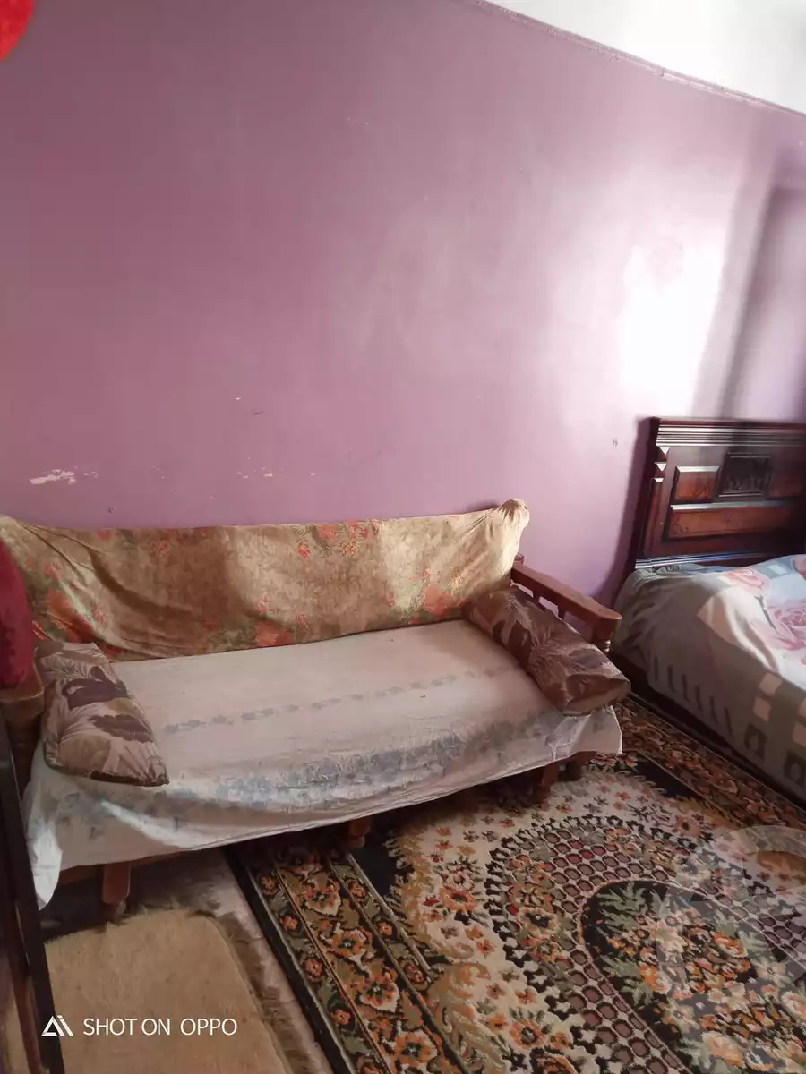 https://aqarmap.com.eg/en/listing/4093339-for-sale-alexandria-mansheya-hafez-basha-st