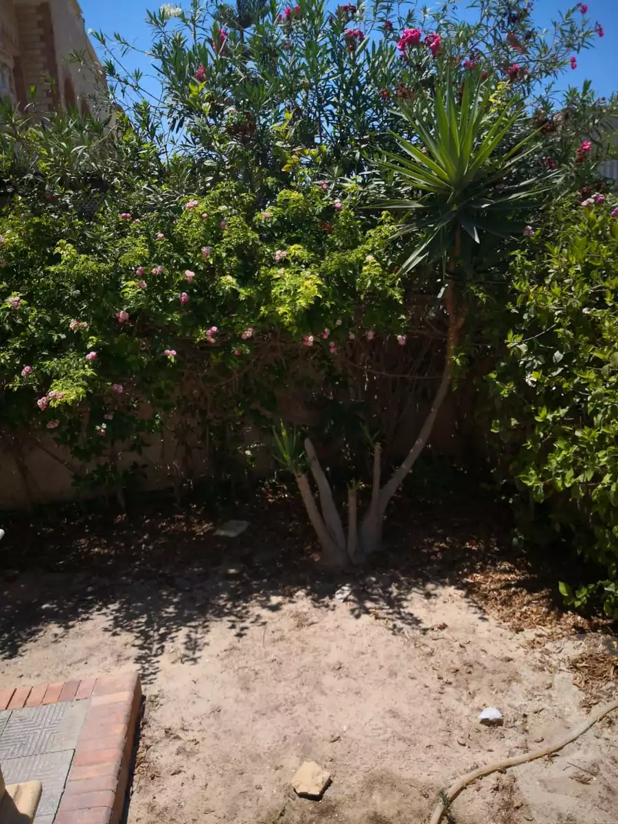 https://aqarmap.com.eg/ar/listing/4100863-for-sale-north-coast-resorts-helio-beach