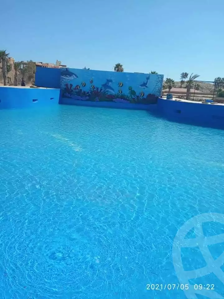 https://aqarmap.com.eg/en/listing/4122070-for-rent-marsa-matruh-marsa-matrouh-city
