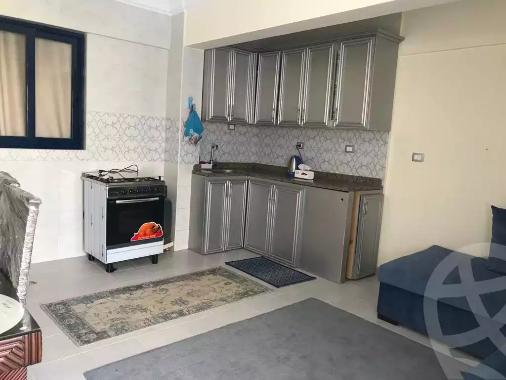 https://aqarmap.com.eg/en/listing/4132507-for-rent-north-coast-resorts-carthage-resort