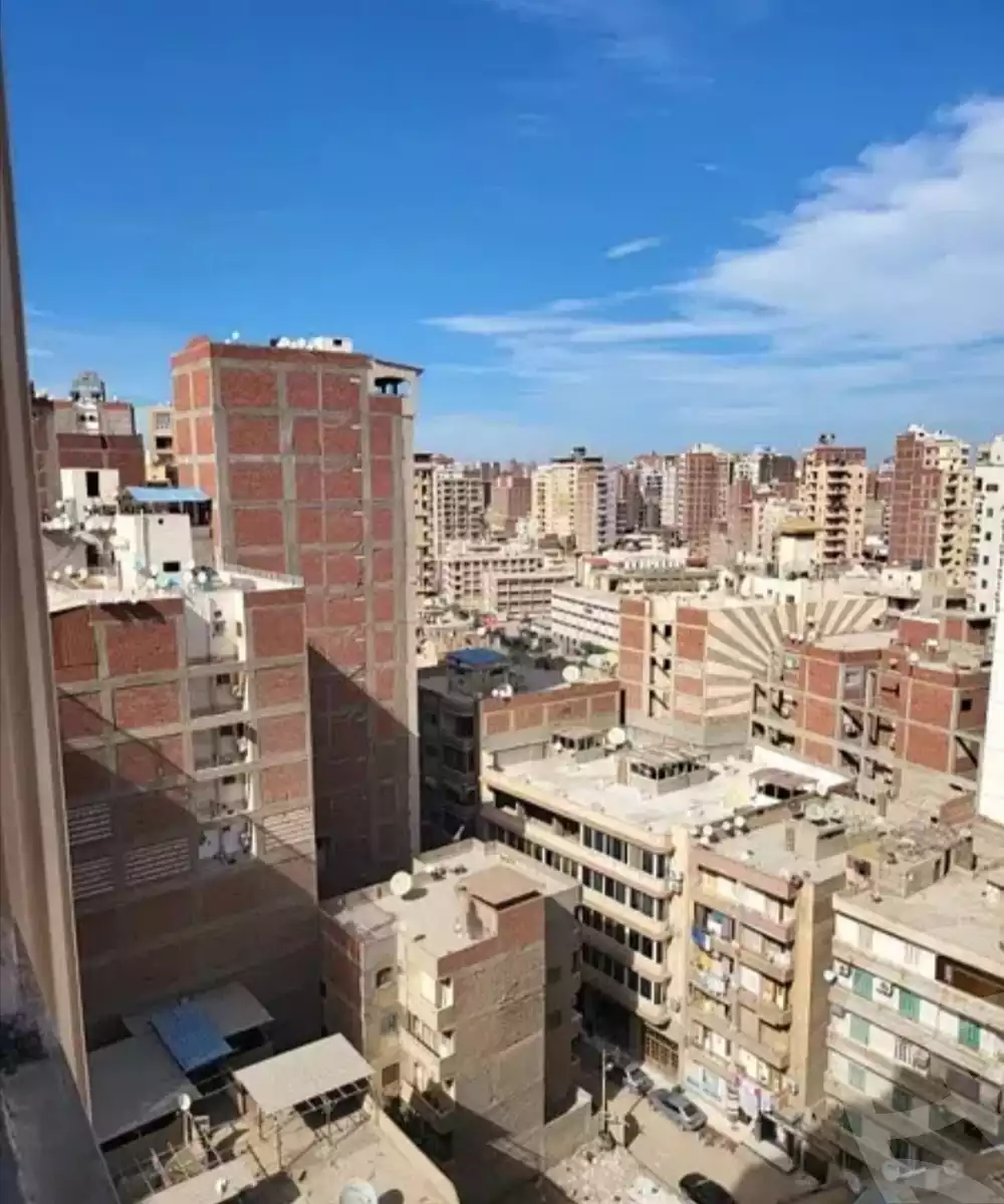 https://aqarmap.com.eg/en/listing/4146798-for-sale-gharbia-el-mahallah-el-kubra-shokri-el-qawtli-abd-el-hameed-salem-st