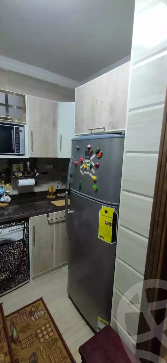 https://aqarmap.com.eg/en/listing/4154651-for-rent-el-shaheed-galal-el-desouky-st