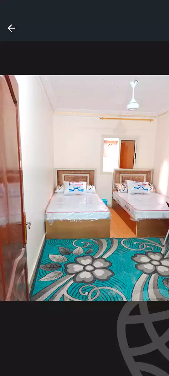 https://aqarmap.com.eg/en/listing/4506599-for-rent-cairo-nasr-city-abbas-el-akkad