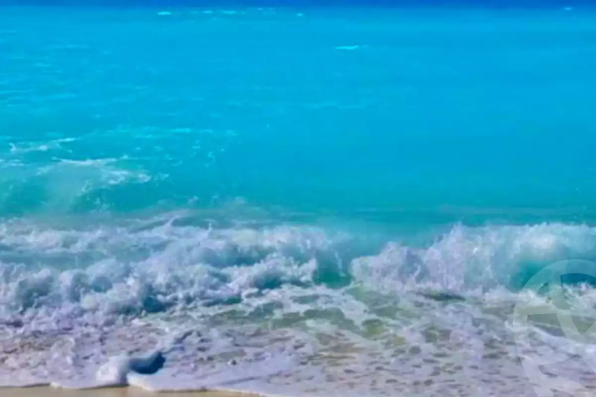 https://aqarmap.com.eg/en/listing/4160563-for-sale-north-coast-resorts-cecilia-lagoons