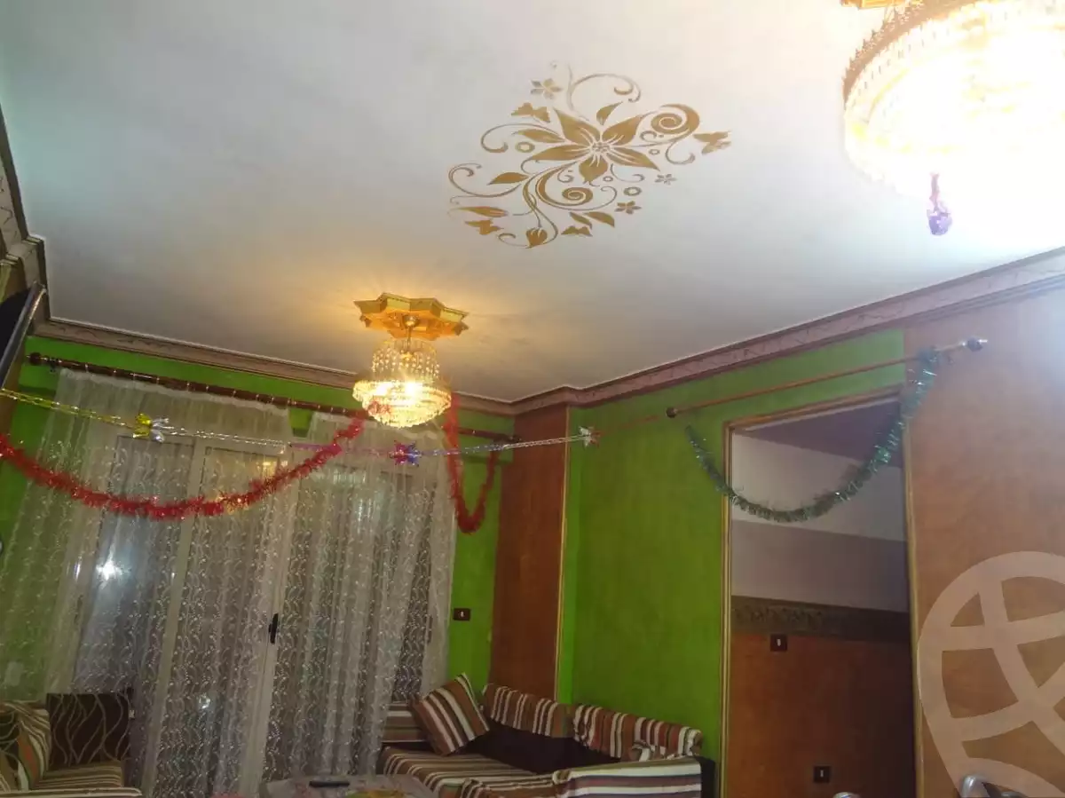 https://aqarmap.com.eg/en/listing/4167623-for-sale-al-shanab-st