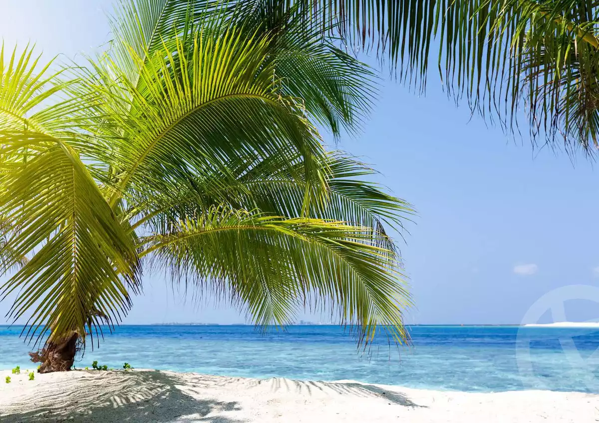 https://aqarmap.com.eg/en/listing/4170477-for-sale-north-coast-resorts-kly-kwst-myfyn-llttwyr