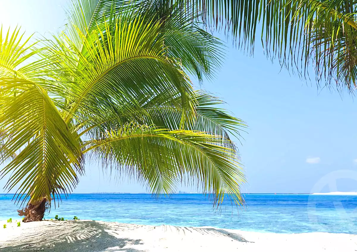https://aqarmap.com.eg/ar/listing/4170646-for-sale-north-coast-resorts-kly-kwst-myfyn-llttwyr