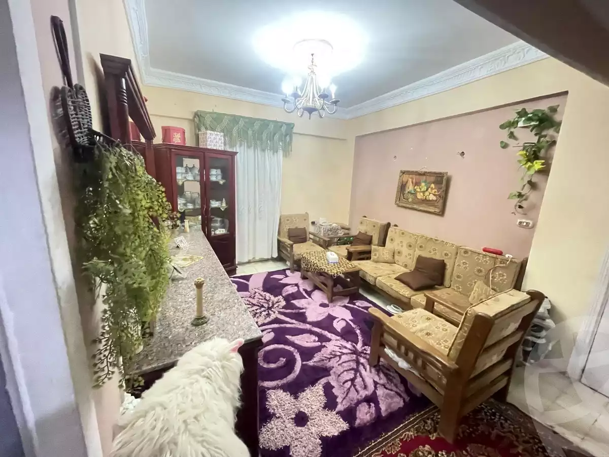 https://aqarmap.com.eg/en/listing/4171981-for-sale-alexandria-el-hanouvel-emtedad-fatma-al-zahraa-st