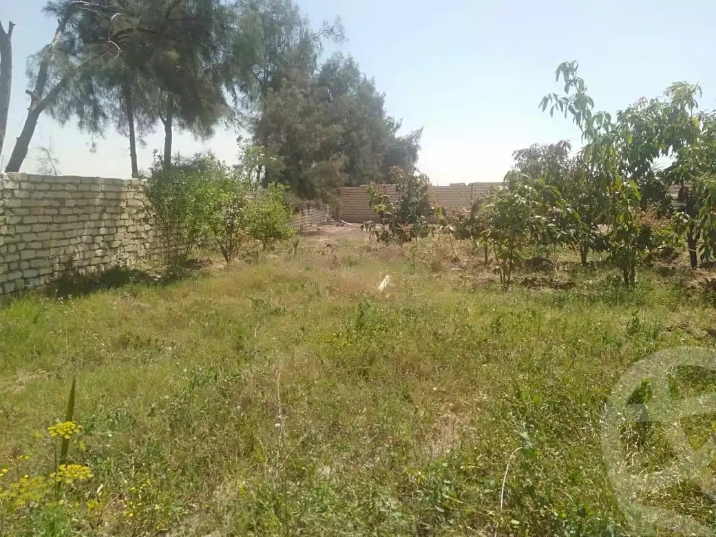 https://aqarmap.com.eg/ar/listing/4201156-for-sale-sharqia-bilbeis-el-salam